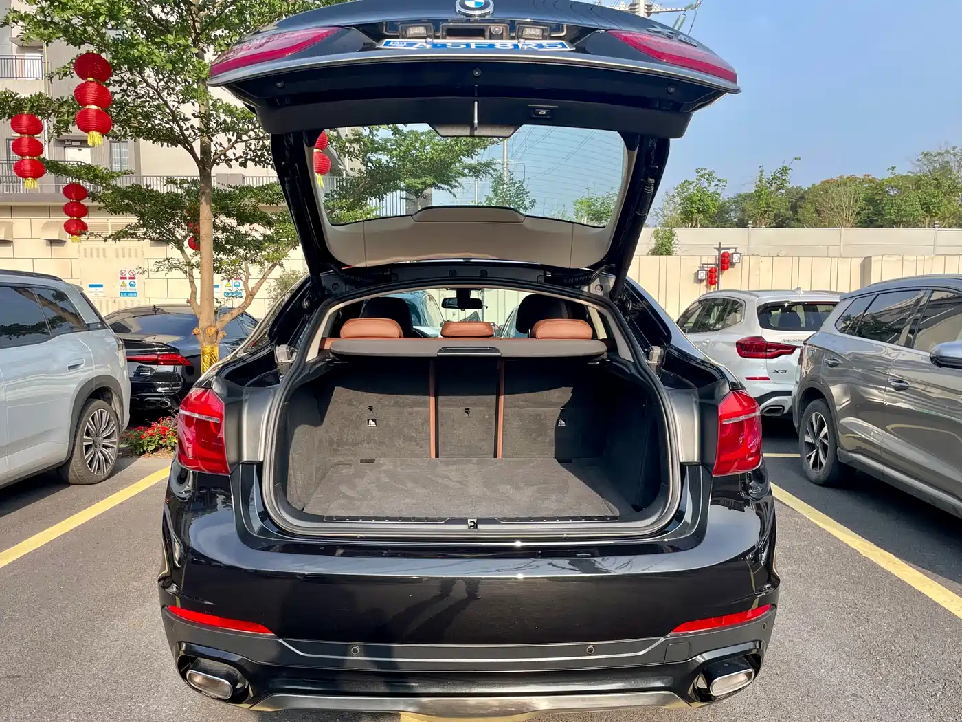 BMW X6 2018 xDrive35i M Sport Luxury Model фото 11
