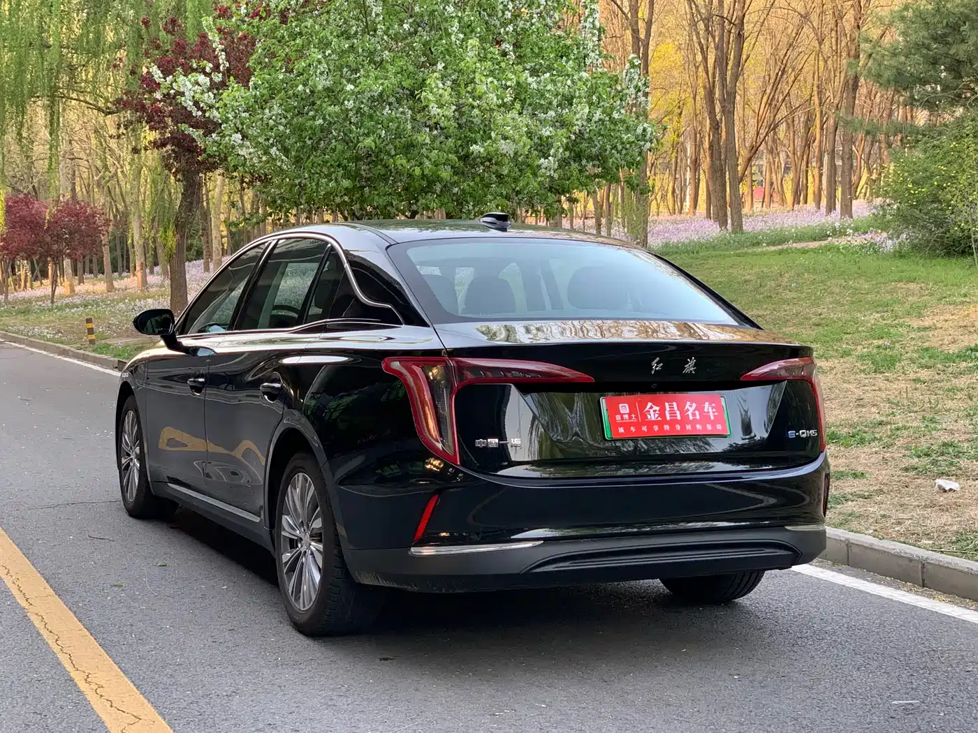 Hongqi E-QM5 2022 431km Charging Enjoyment Edition фото 6