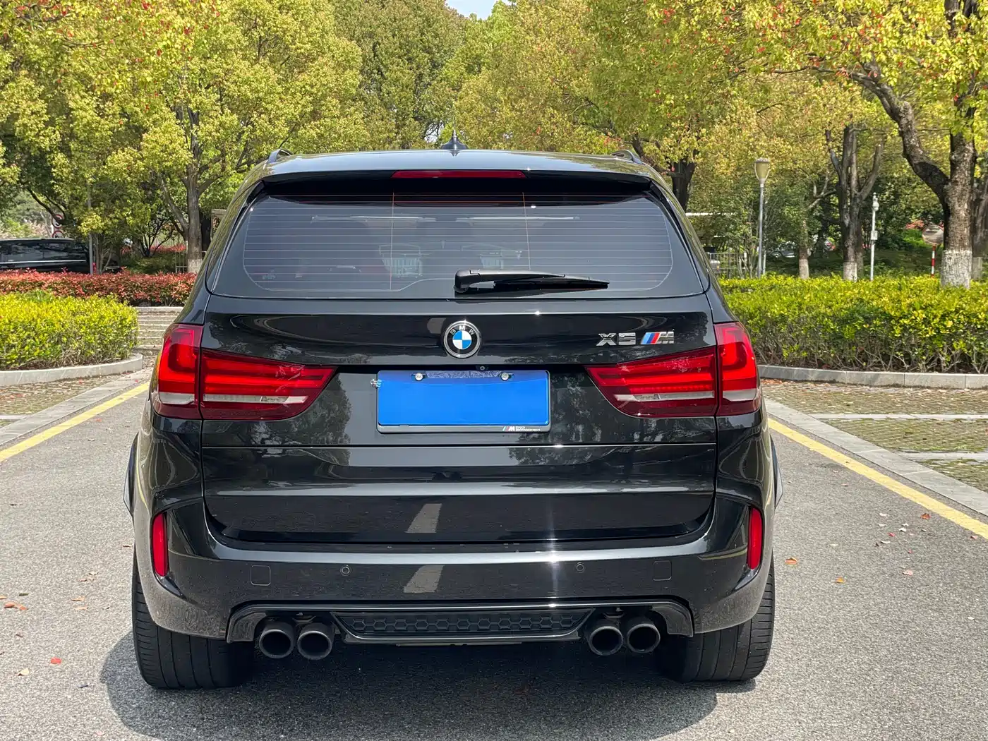 BMW X5 M 2013 X5 M фото 10