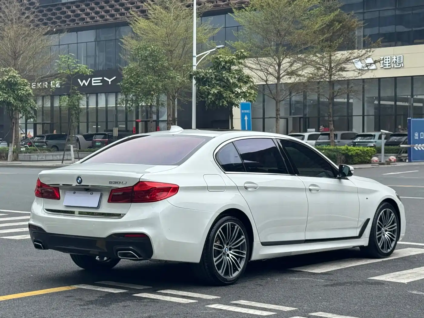 BMW 5 Series 2019 530Li Leading M Sport Package фото 41