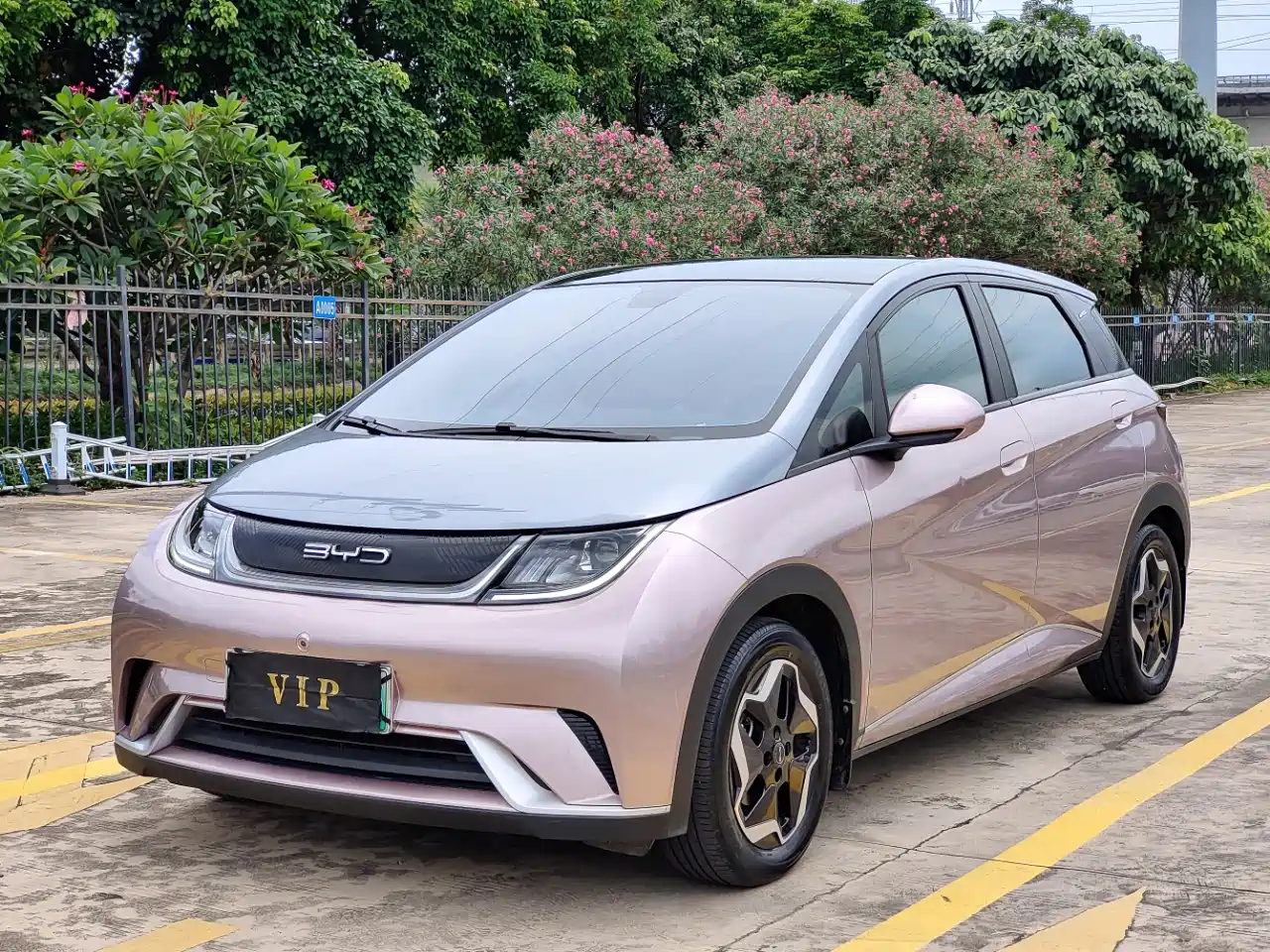 BYD Dolphin 2021
