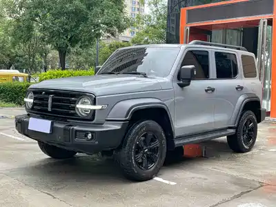 Tank 300