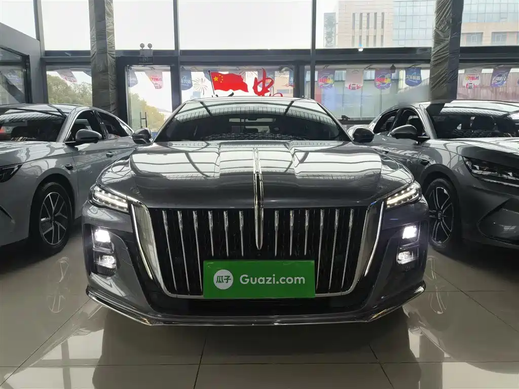 Hongqi H5 2023 2.0T Auto Smart Connect Flag Comfort фото 3