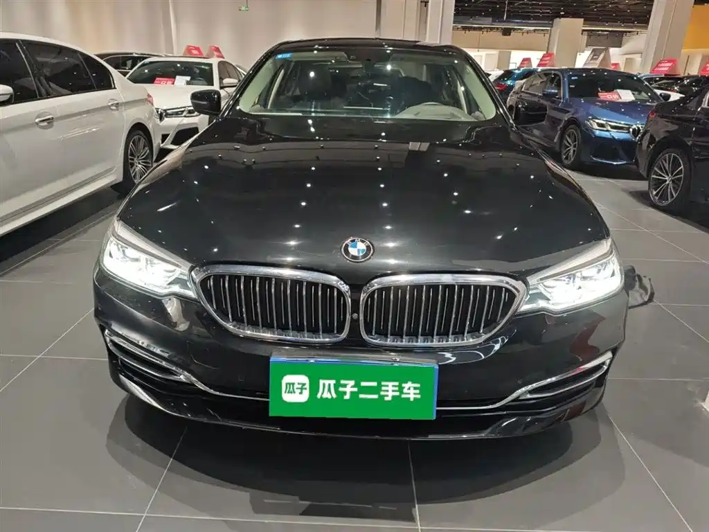BMW 5 Series 2020 530Li Premium Luxury Package фото 3