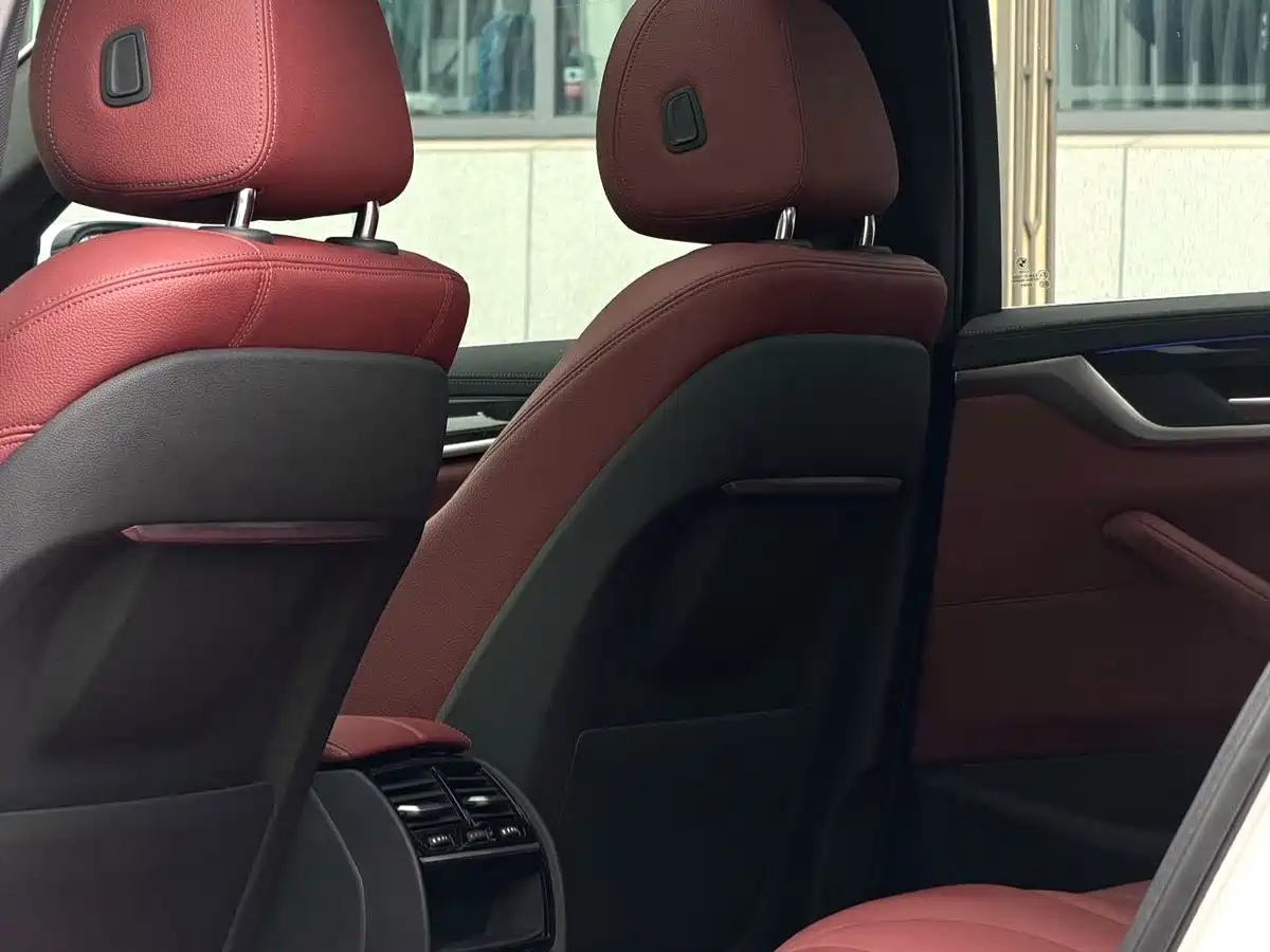 BMW 5 Series 2020 530Li Leading M Sport Package фото 7