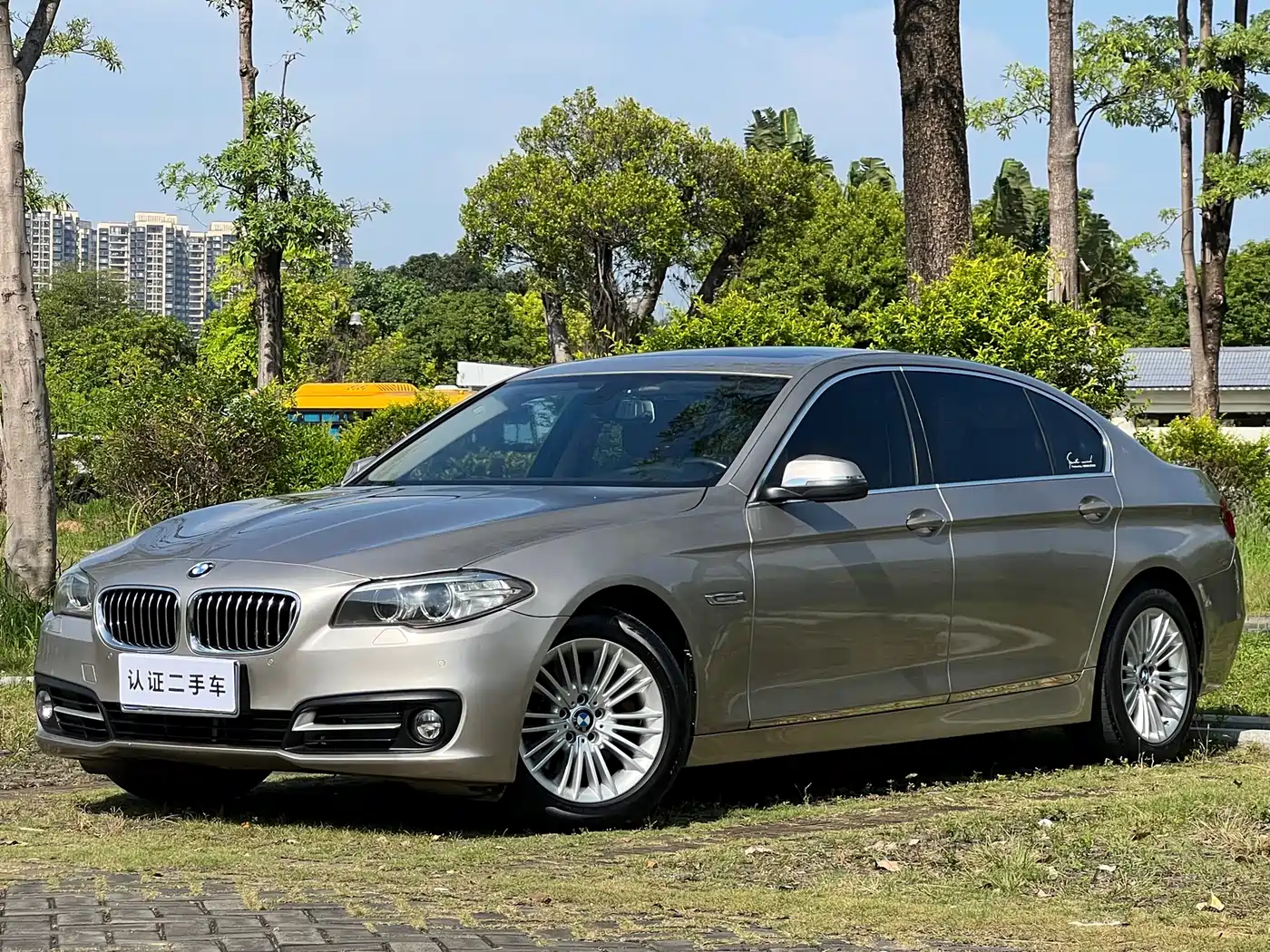 BMW 5 Series 2014 525Li Leading