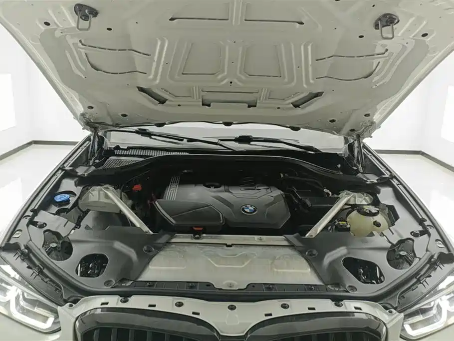 BMW X3 2022 xDrive30i Leading M Night Package фото 10