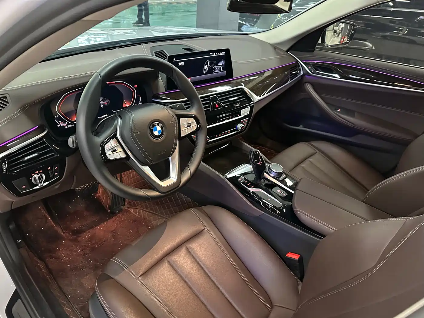 BMW 5 Series 2020 525Li Luxury Package фото 12