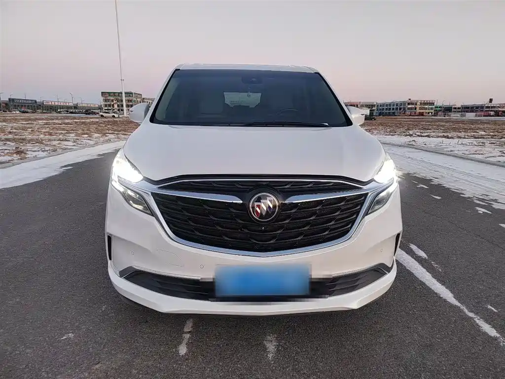 Buick GL8 2021 ES Landlord 653T Premium фото 4
