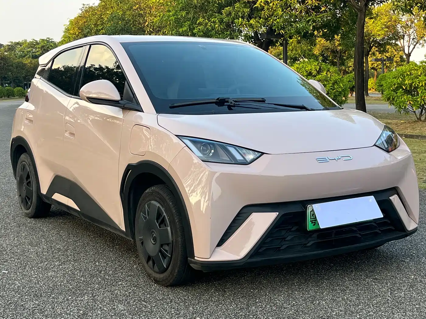 BYD Seagull 2023 2023 Vitality Edition