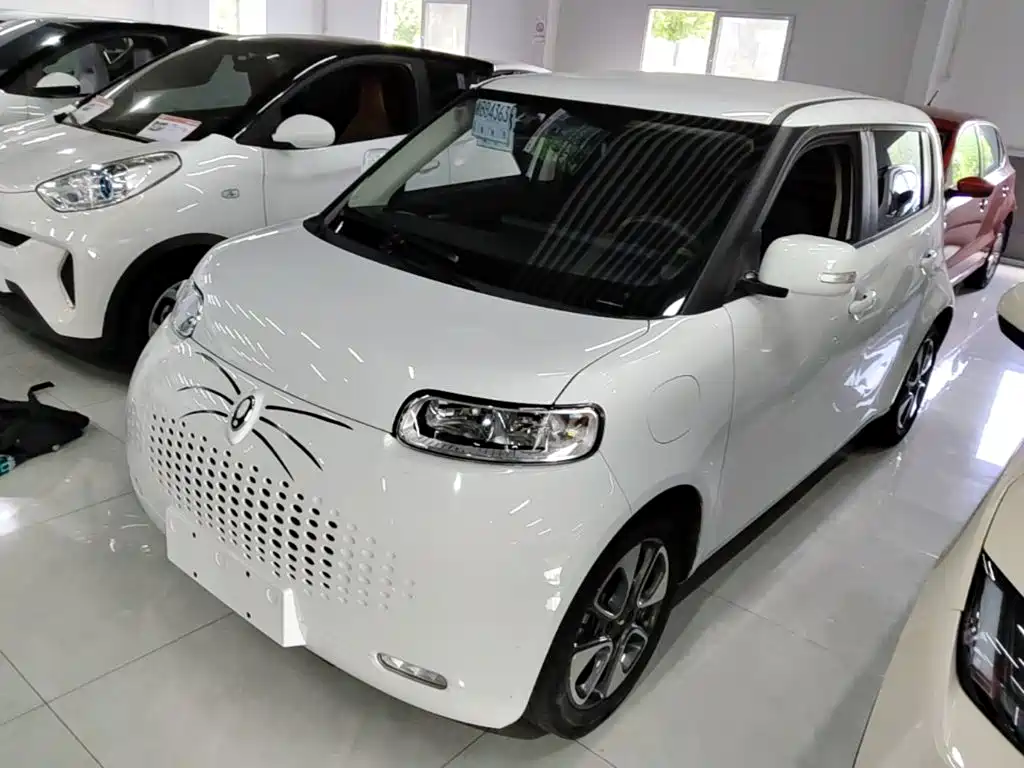 Ora White Cat 2022 2022 Upgraded 305km Luxury (NMC)