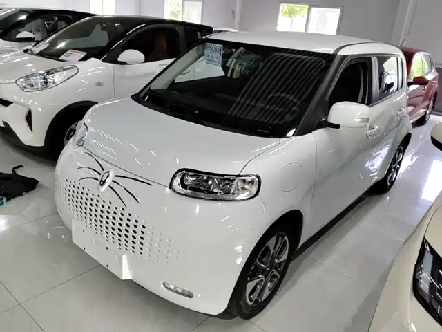 Ora White Cat 2022