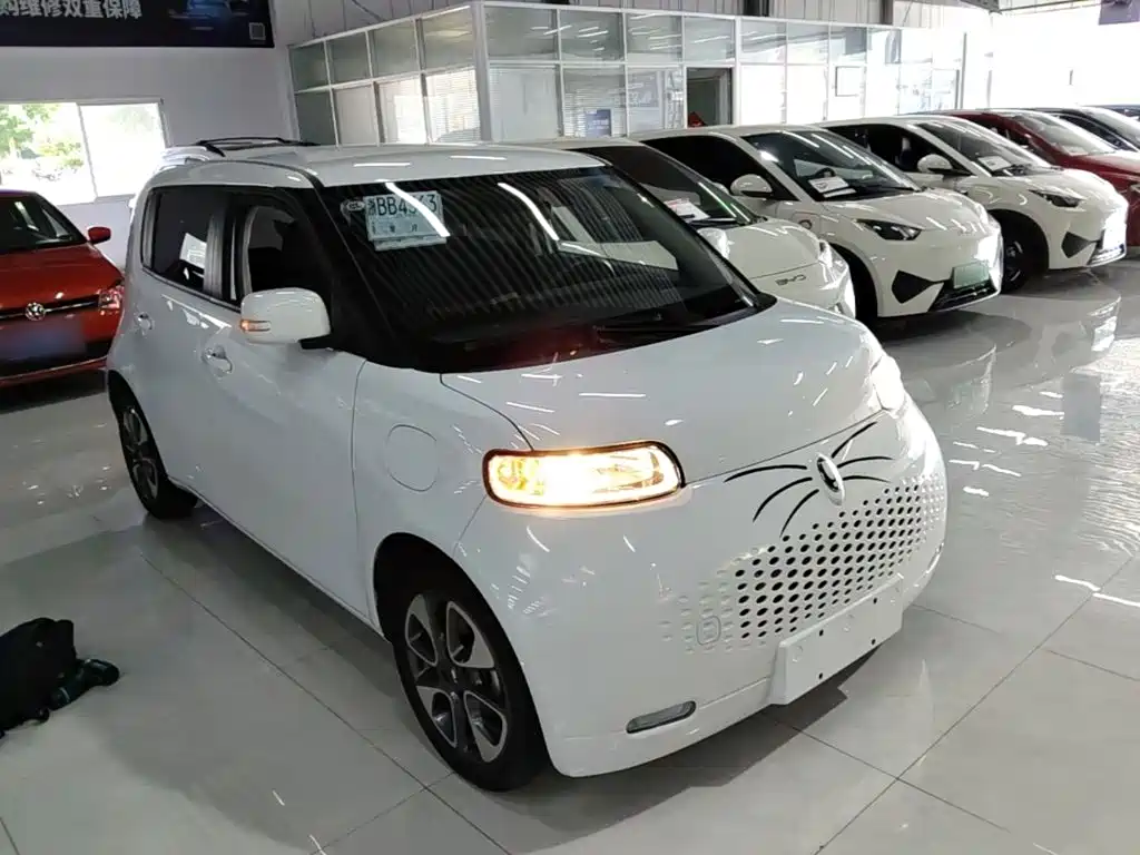 Ora White Cat 2022 2022 Upgraded 305km Luxury (NMC)