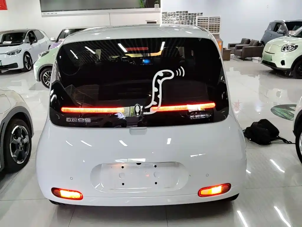 Ora White Cat 2022 2022 Upgraded 305km Luxury (NMC)