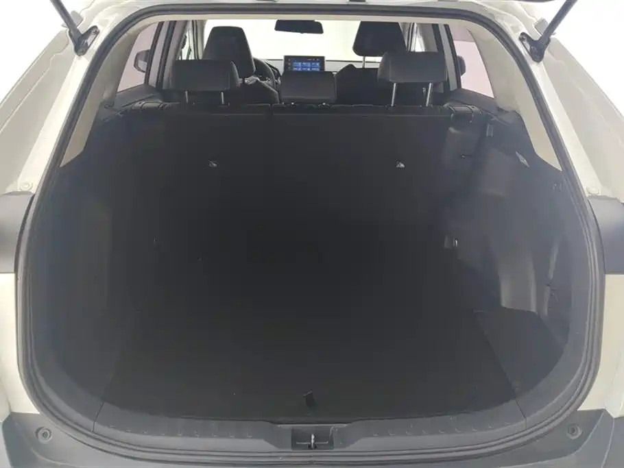 Toyota RAV4 Rongfang 2021 2.0L CVT 2WD Trend PLUS фото 4