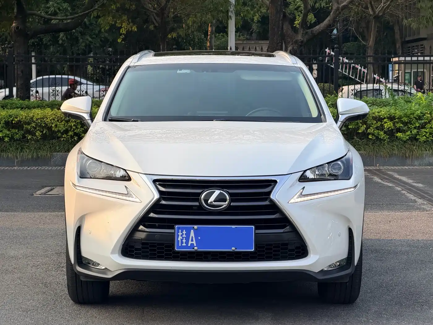 LEXUS NX