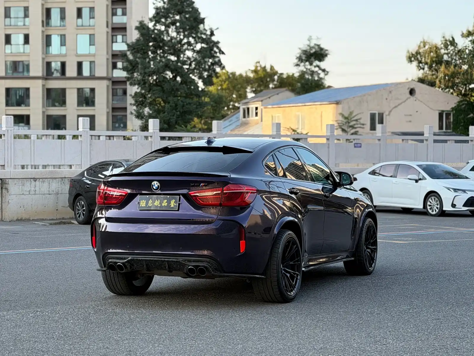 صورة 16 - BMW X6 M