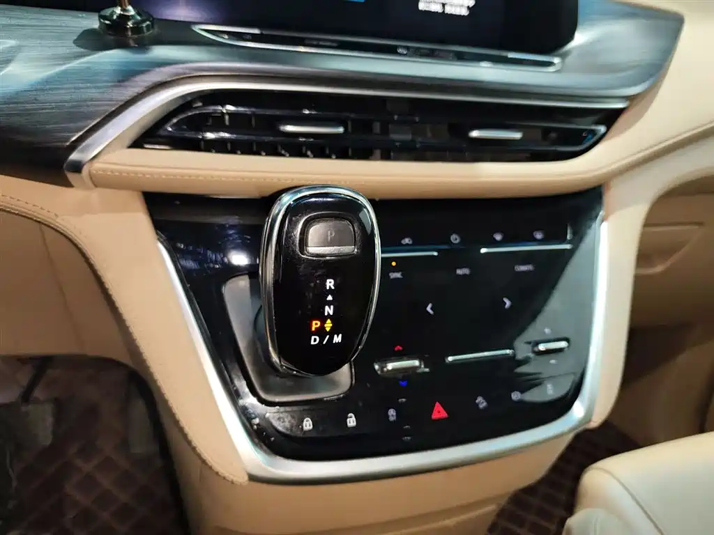 Buick GL8 2021 ES Landlord 653T Premium фото 14