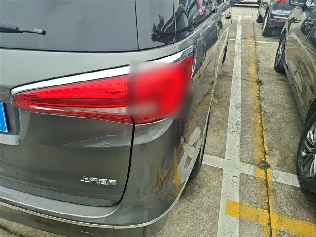 Buick GL8 2017 ES 28T Premium China V фото 24
