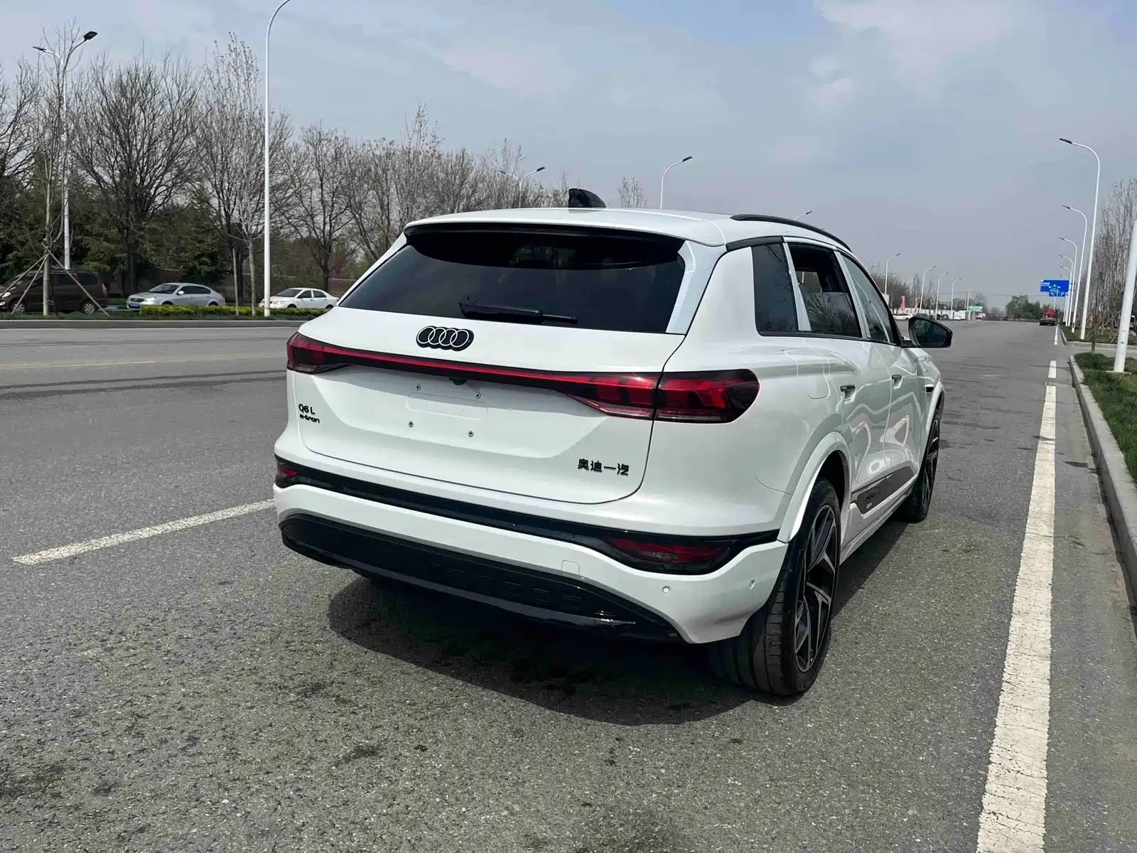 Фото 20 - Audi Q6L e-tron