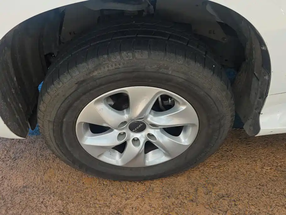 Haval H9 2024 2022 2.0T Gasoline 4WD Elite 5-Seater