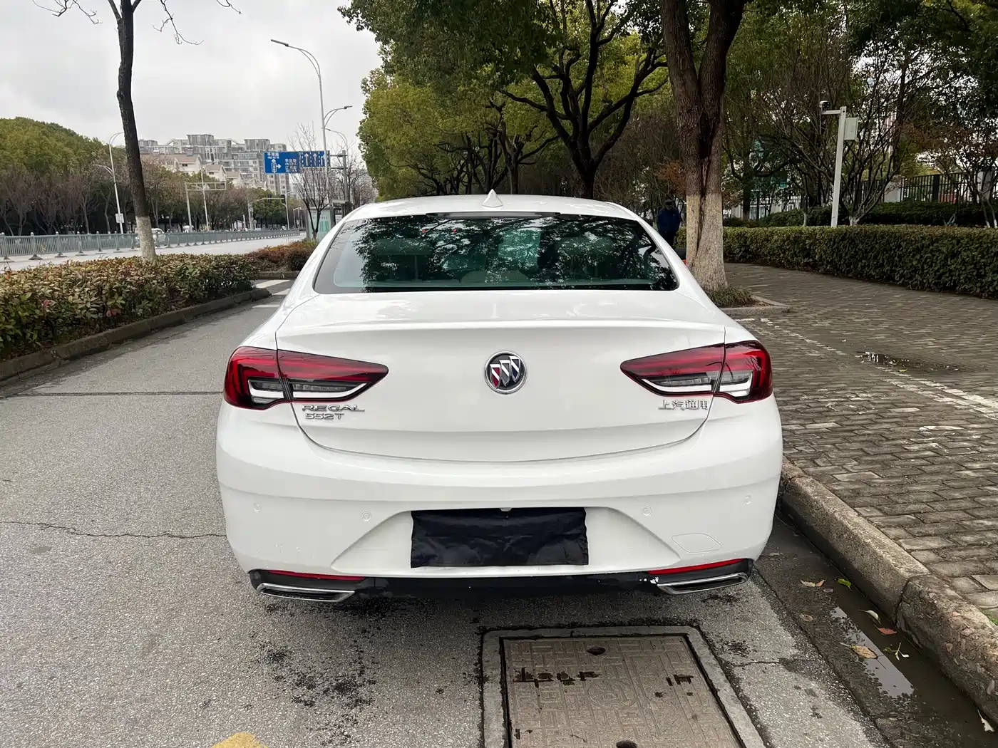Buick Regal 2020 552T Elite фото 6