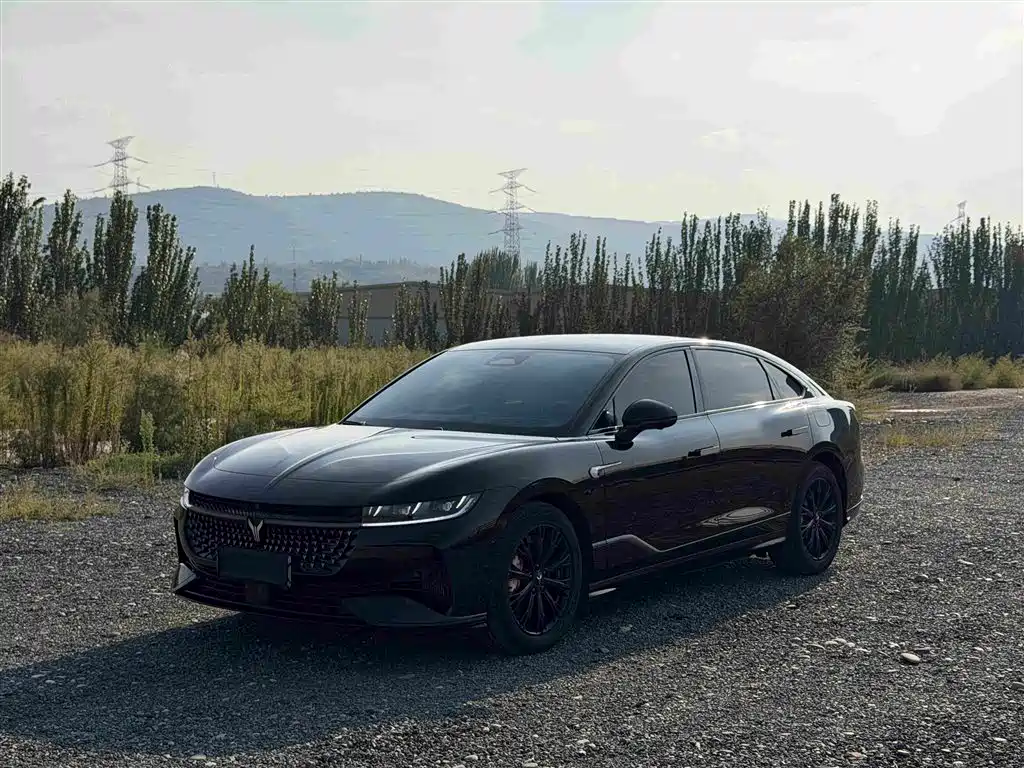 Voyah Passion 2024 2024 PHEV AWD Ultra-long Range Executive Edition