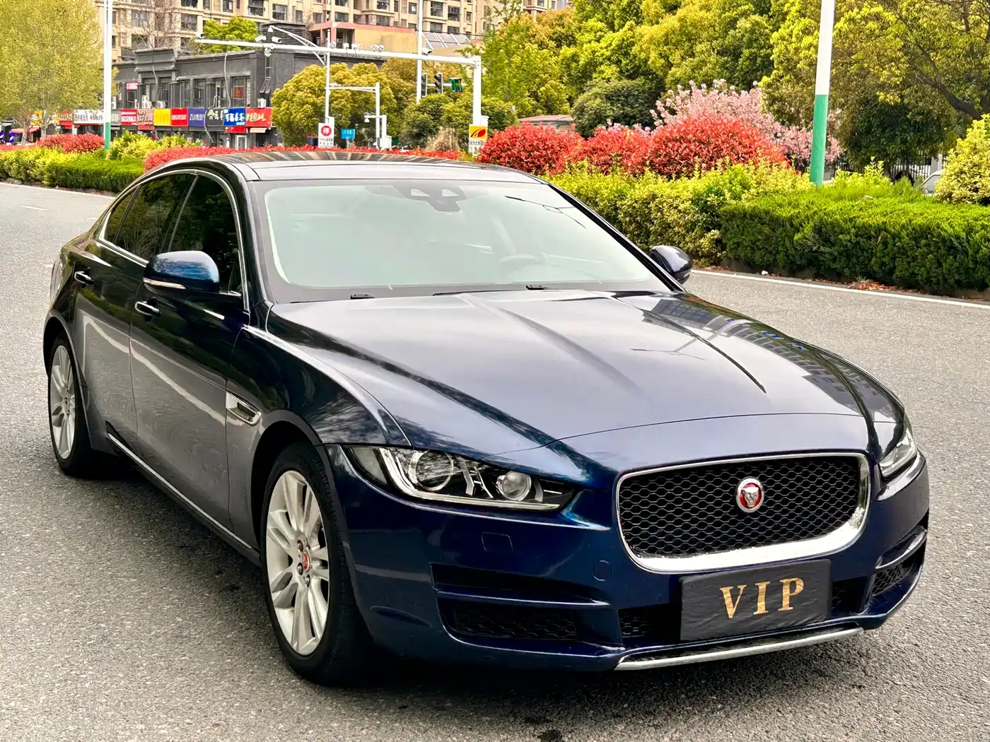 Фото 3 - Jaguar XEL