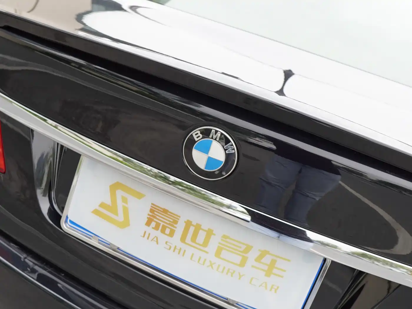 BMW 7 Series 2009 750Li Luxury фото 28