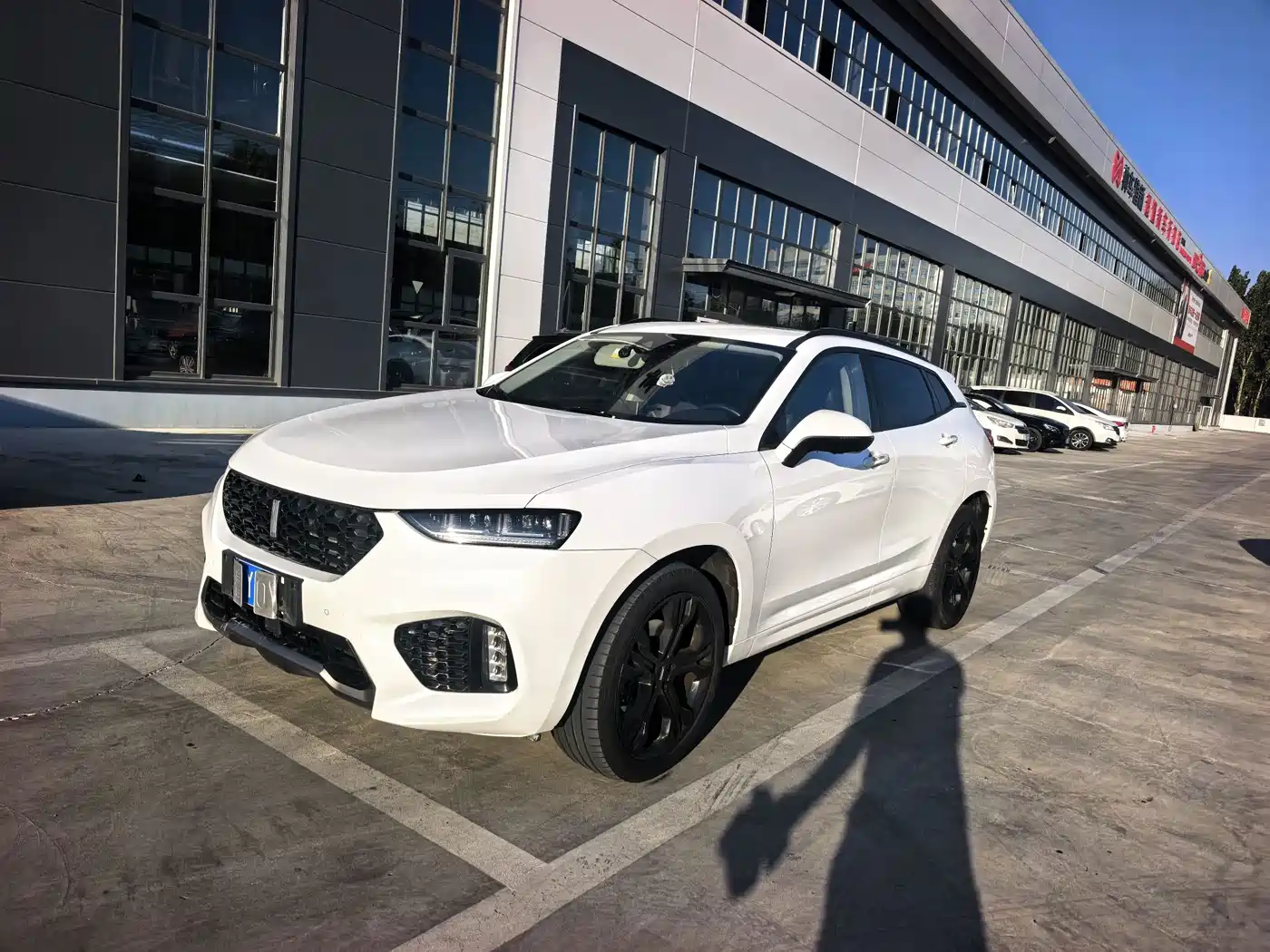 WEY VV7 2017 2017 2.0T Flagship
