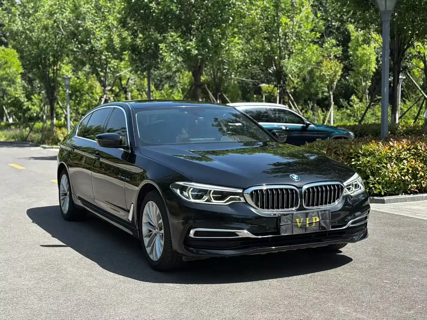 BMW 5 Series 2020 530Li Leading Luxury Package фото 3