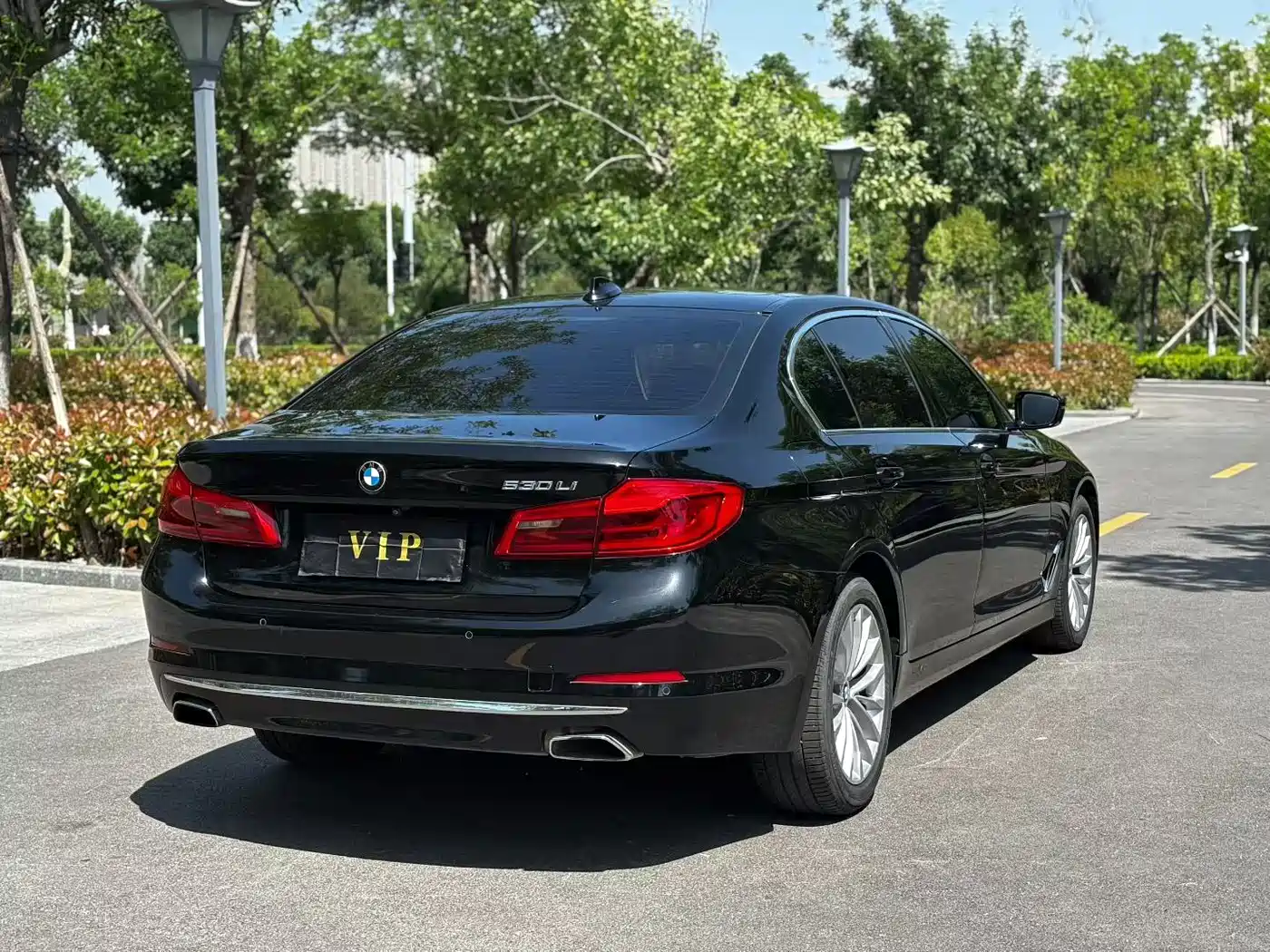 BMW 5 Series 2020 530Li Leading Luxury Package фото 7