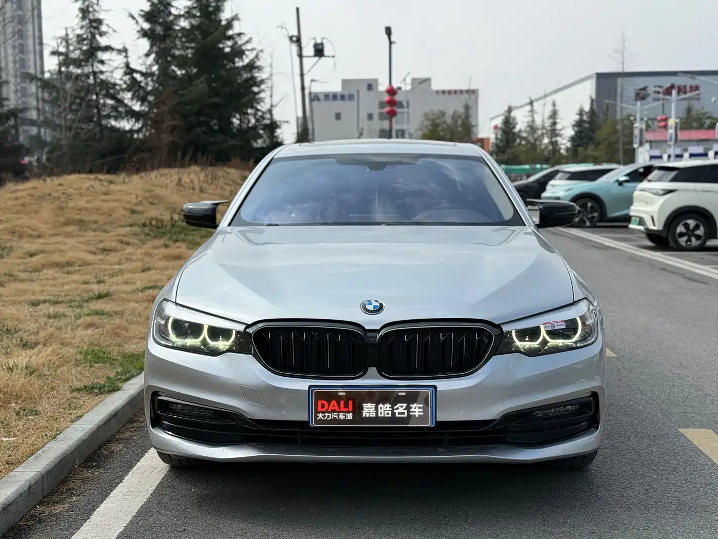 BMW 5 Series 2019 530Li Leading Luxury Package фото 2
