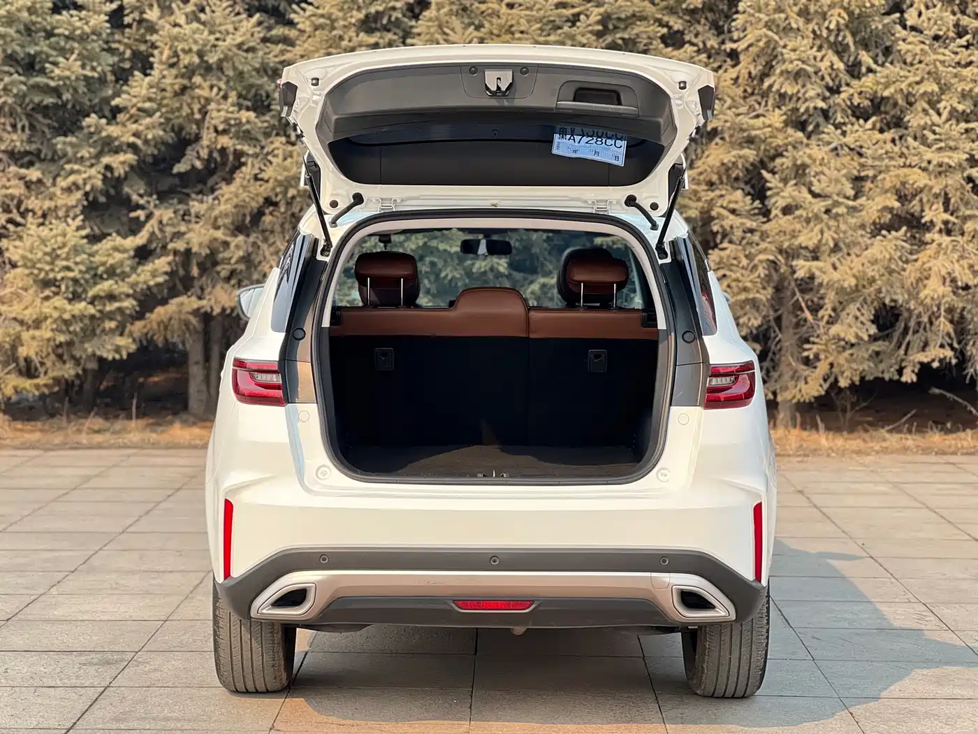 GEELY AUTOMOBILE VISION X6