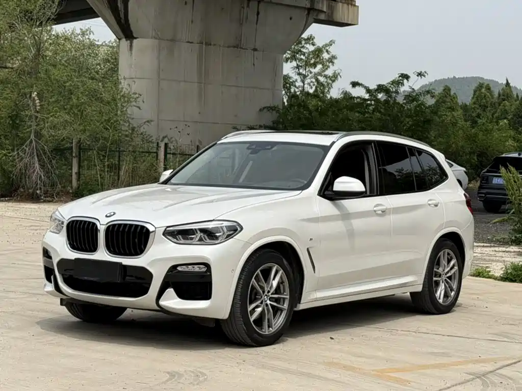 BMW X3 2018 2018 xDrive25i M Sport Package China V