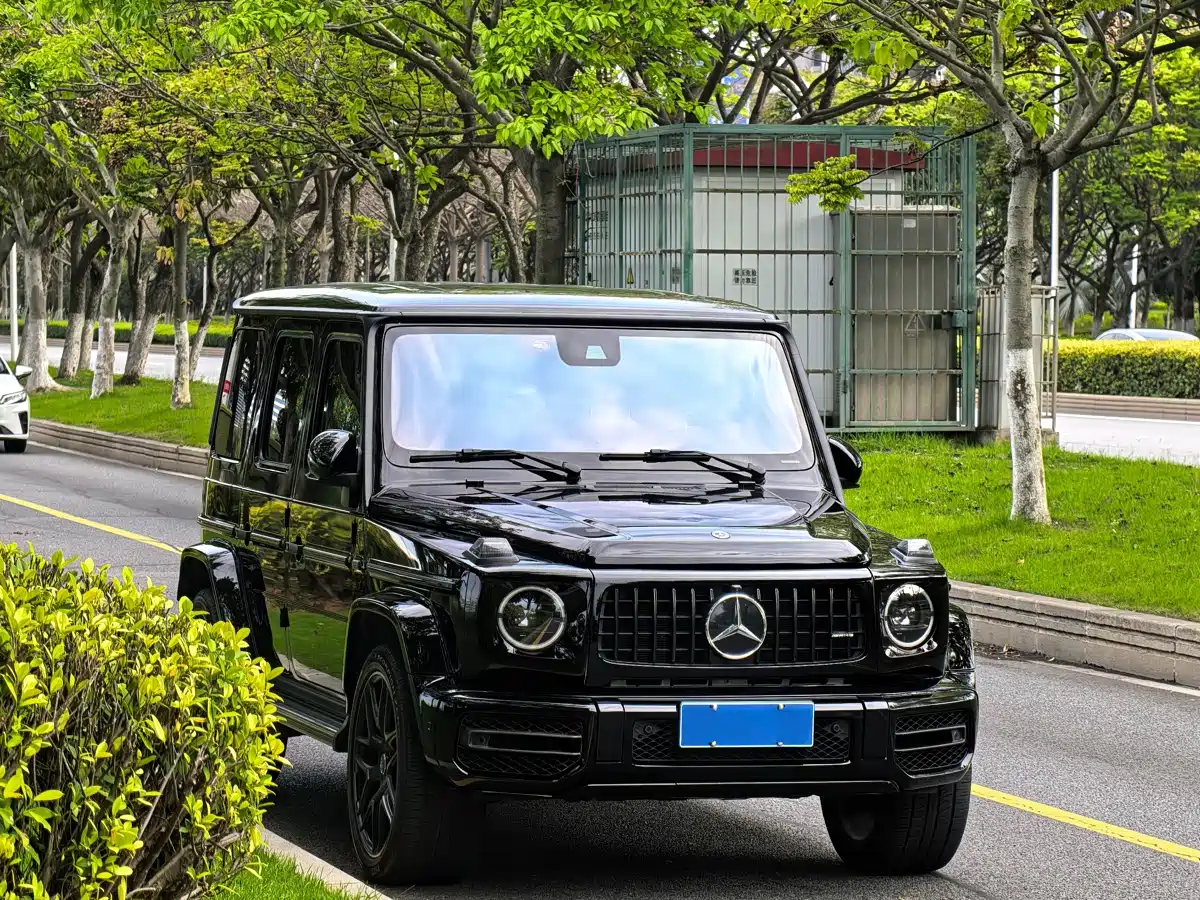 Mercedes-Benz G-Class AMG 2019 AMG G 63 фото 3