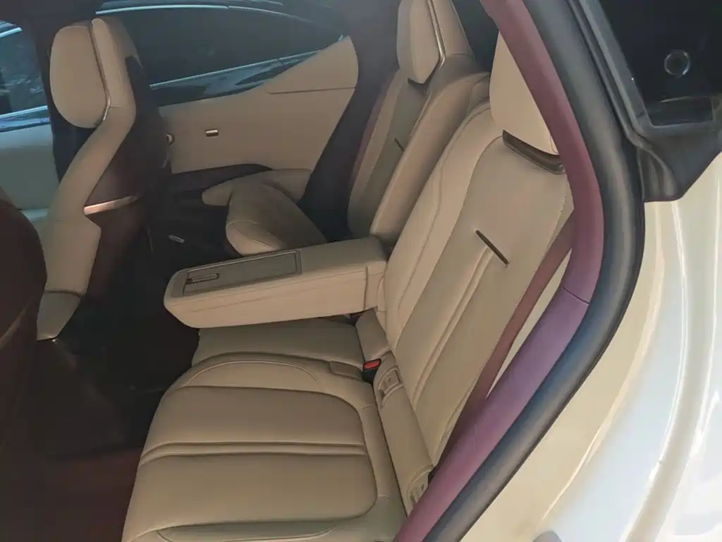 ZEEKR X 2023 2023 RWD YOU Edition 4-seater