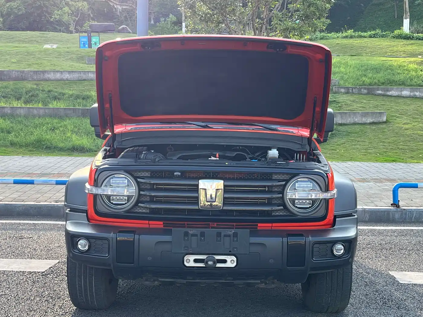 Tank 300 2023 Off-Road Edition 2.0T Conqueror фото 41