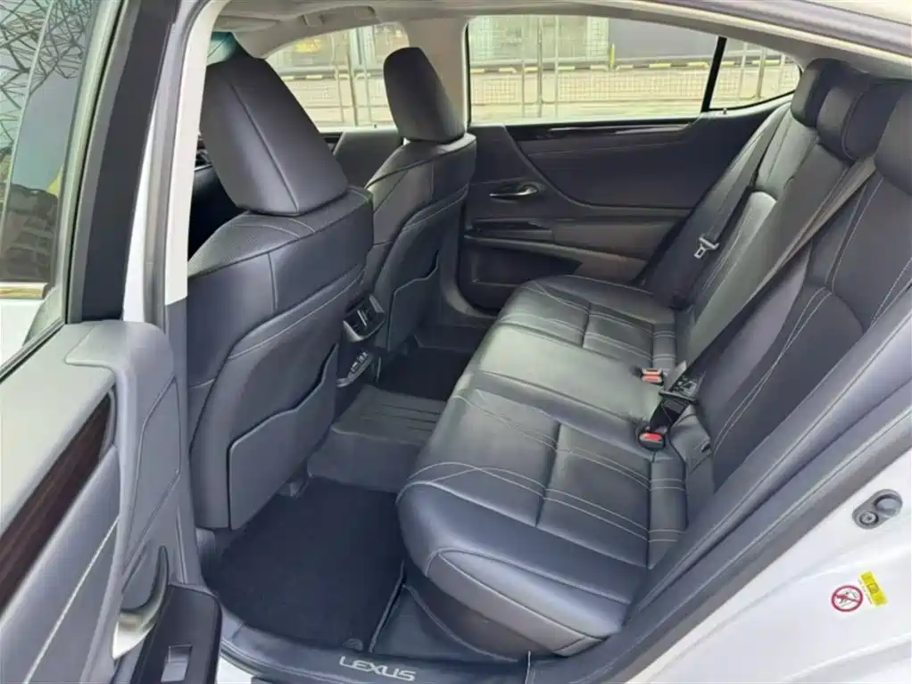 Lexus ES 2018 300h Premium Edition China V фото 17