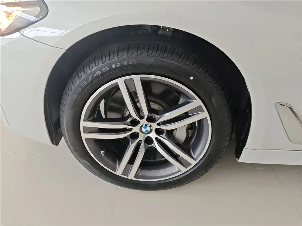 BMW 5 Series 2023 530Li Leading Luxury Package фото 25