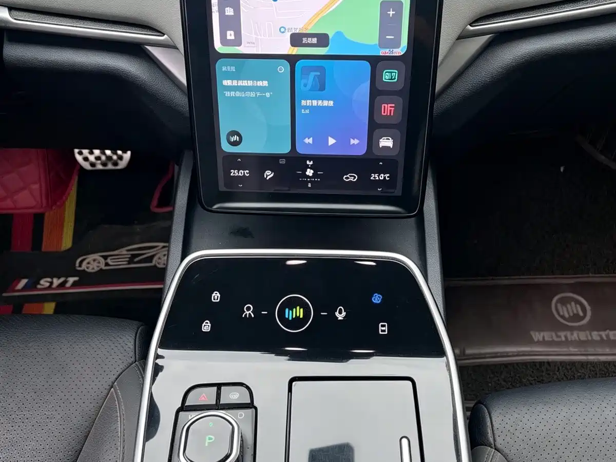 Weltmeister EX5 2019 2018 EX5 400 Extra Innovation Edition