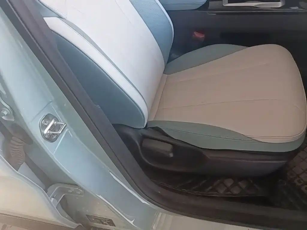 Geely Geometry E Firefly 2024 2024 Model 401km Fluorescent