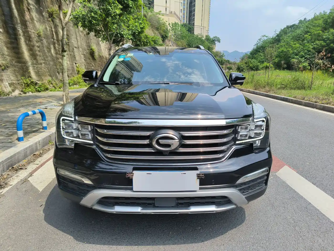 GAC Trumpchi Trumpchi GS8 2017 320T 2WD Luxury Smart Connect (7-seater) фото 2