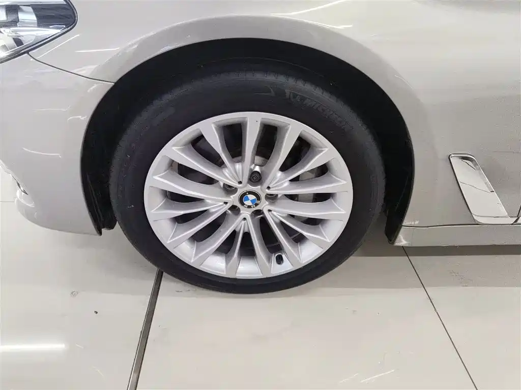 BMW 5 Series 2018 530Li Leading Luxury Package фото 22