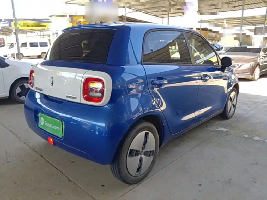 Ora Black Cat 2022 2022 Facelift 301km Pet Edition LFP Version