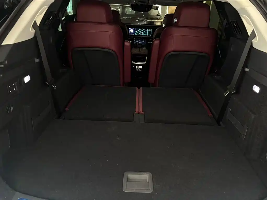 Фото 11 - Hongqi E-HS9