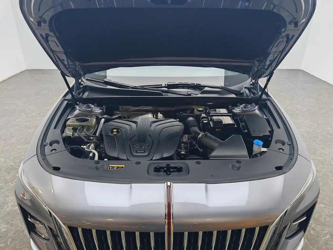 Hongqi H5 2023 2.0T Auto Smart Connect Flag Enjoy фото 13
