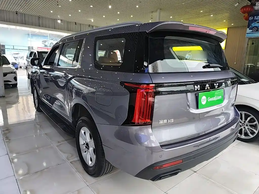 Haval H5 2024 2023 2.0T Automatic 4WD Leading Edition Diesel