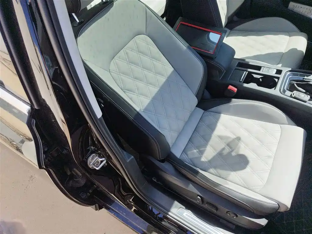 Volkswagen Magotan 2025 Facelift Public Edition 280TSI DSG Luxury фото 25