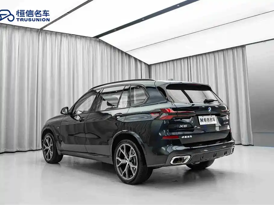 BMW X5 2023 xDrive 30Li Premium M Sport Black Night Package фото 7